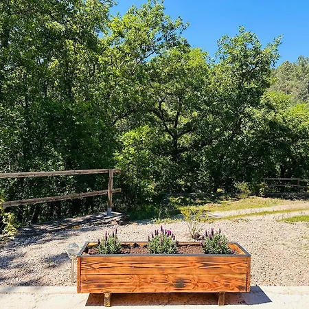 Apartamento La Loge De Lya Gagnières Exterior foto
